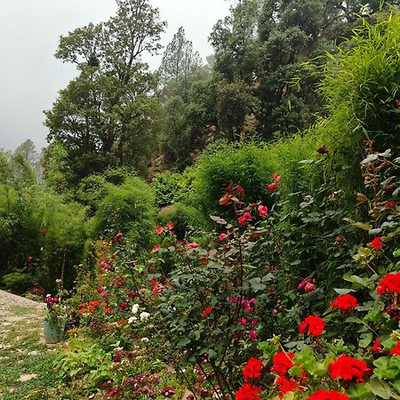 Himwanderer Camps & Cottages Pangot Nainital Exterior photo