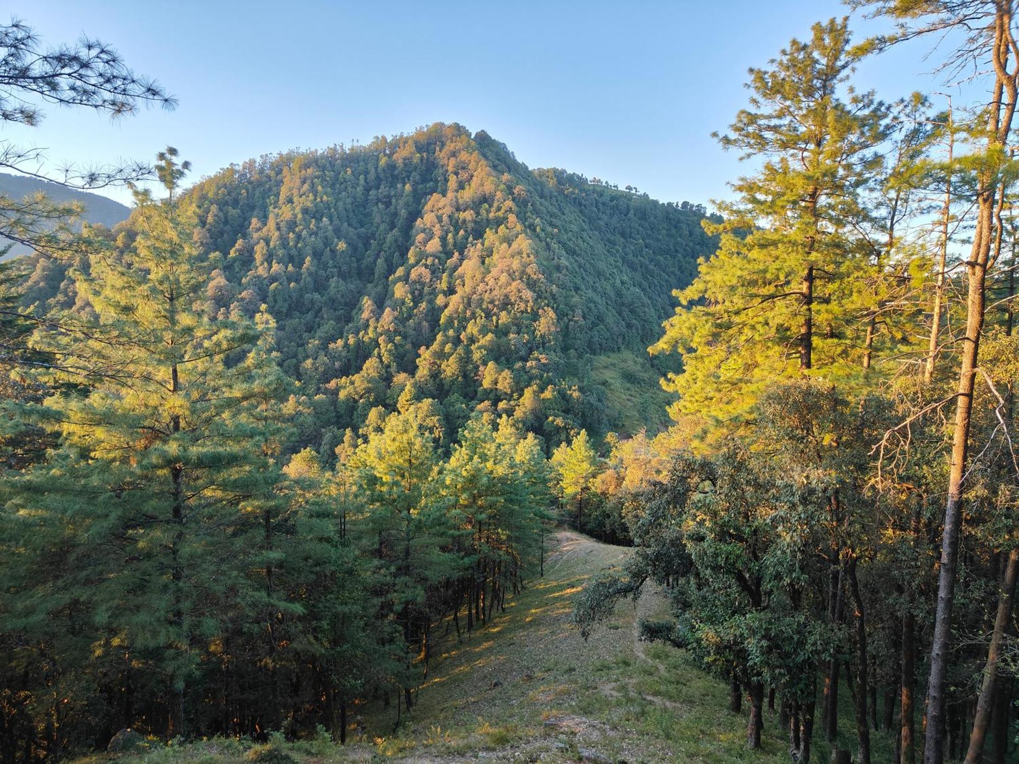 Himwanderer Camps & Cottages Pangot Nainital Exterior photo