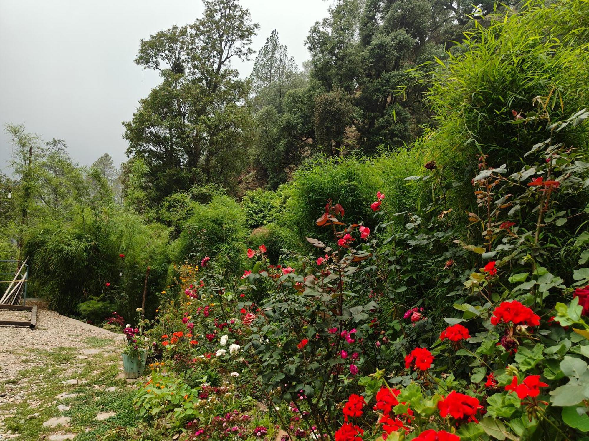 Himwanderer Camps & Cottages Pangot Nainital Exterior photo